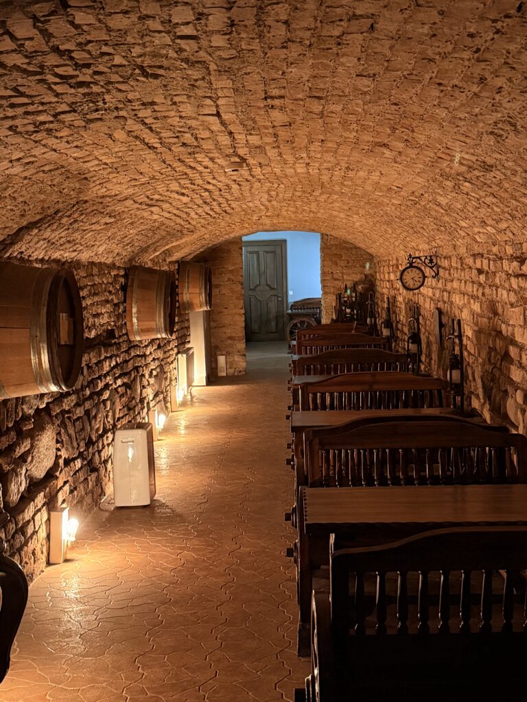 Podziemia klasztoru Bazylianów, Wilno