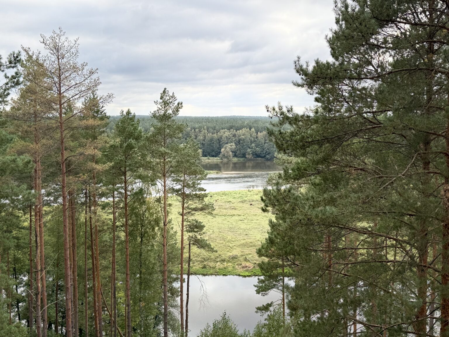 Dzukija, Litwa
