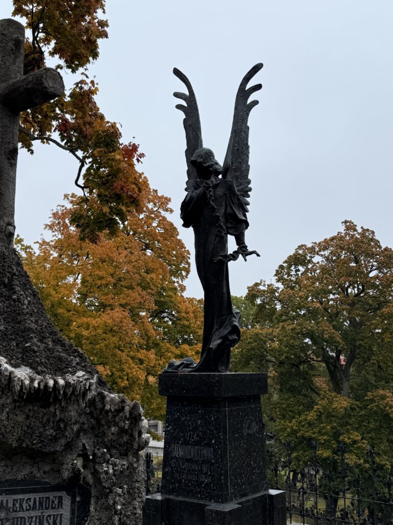 Czarny Anioł, cmentarz Na Rossie, Wilno